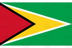 Guyana Flag Sticker