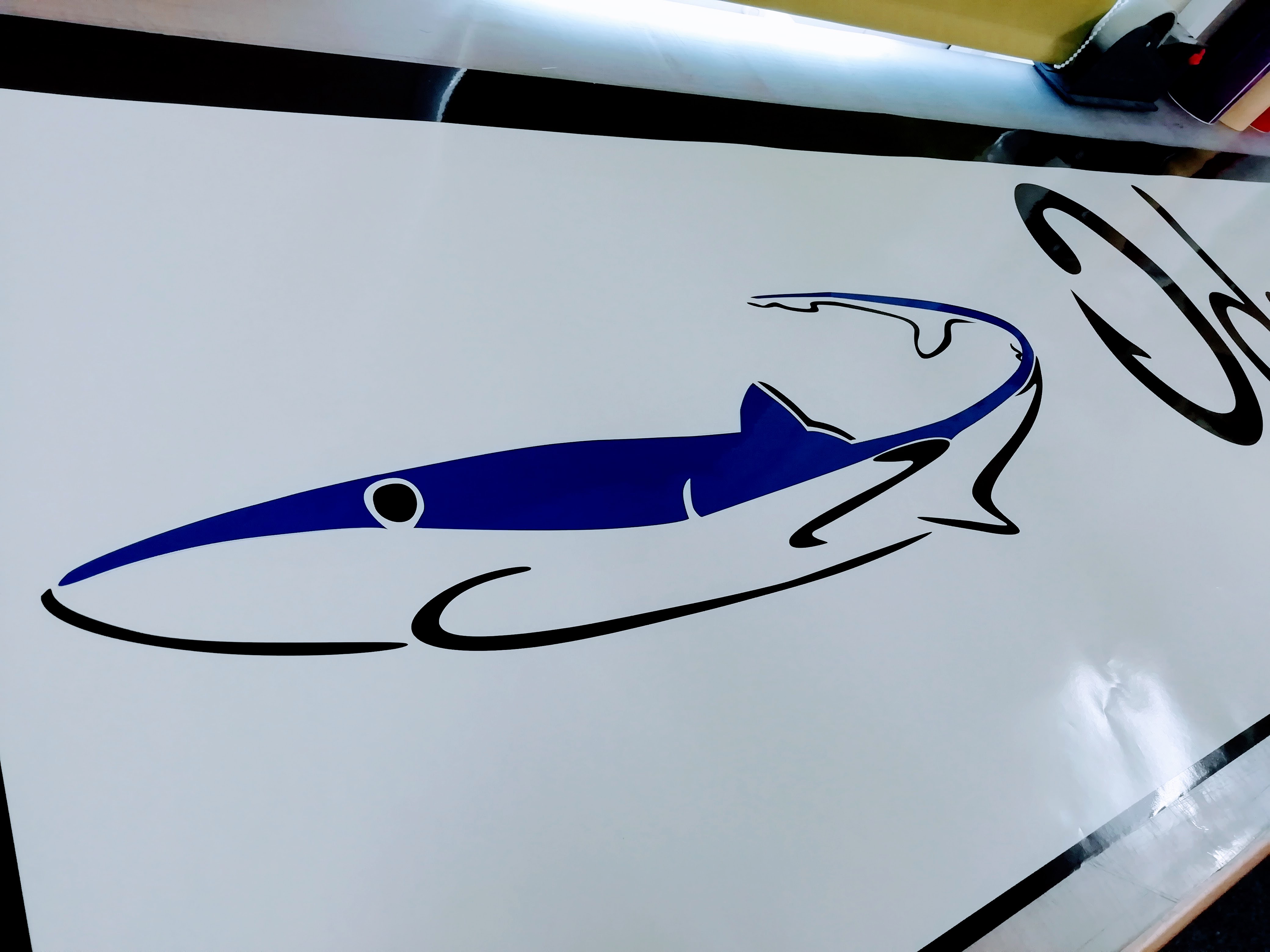 Customer Artwork Supplied - Shark