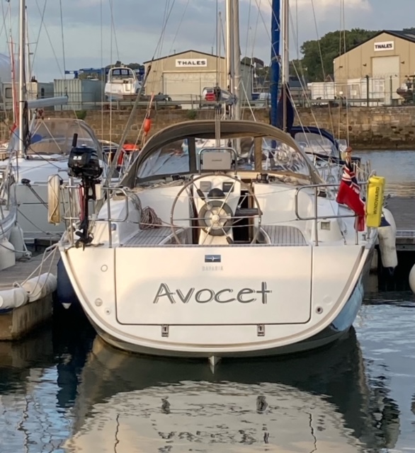 Customer Photo - Avocet