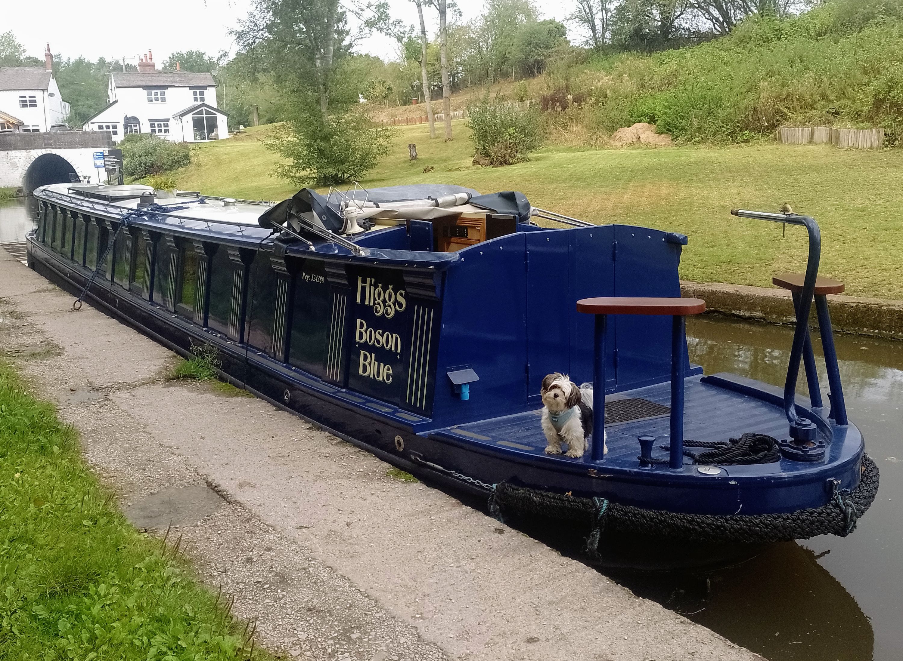 Customer Photo - Higgs Bosun Blue