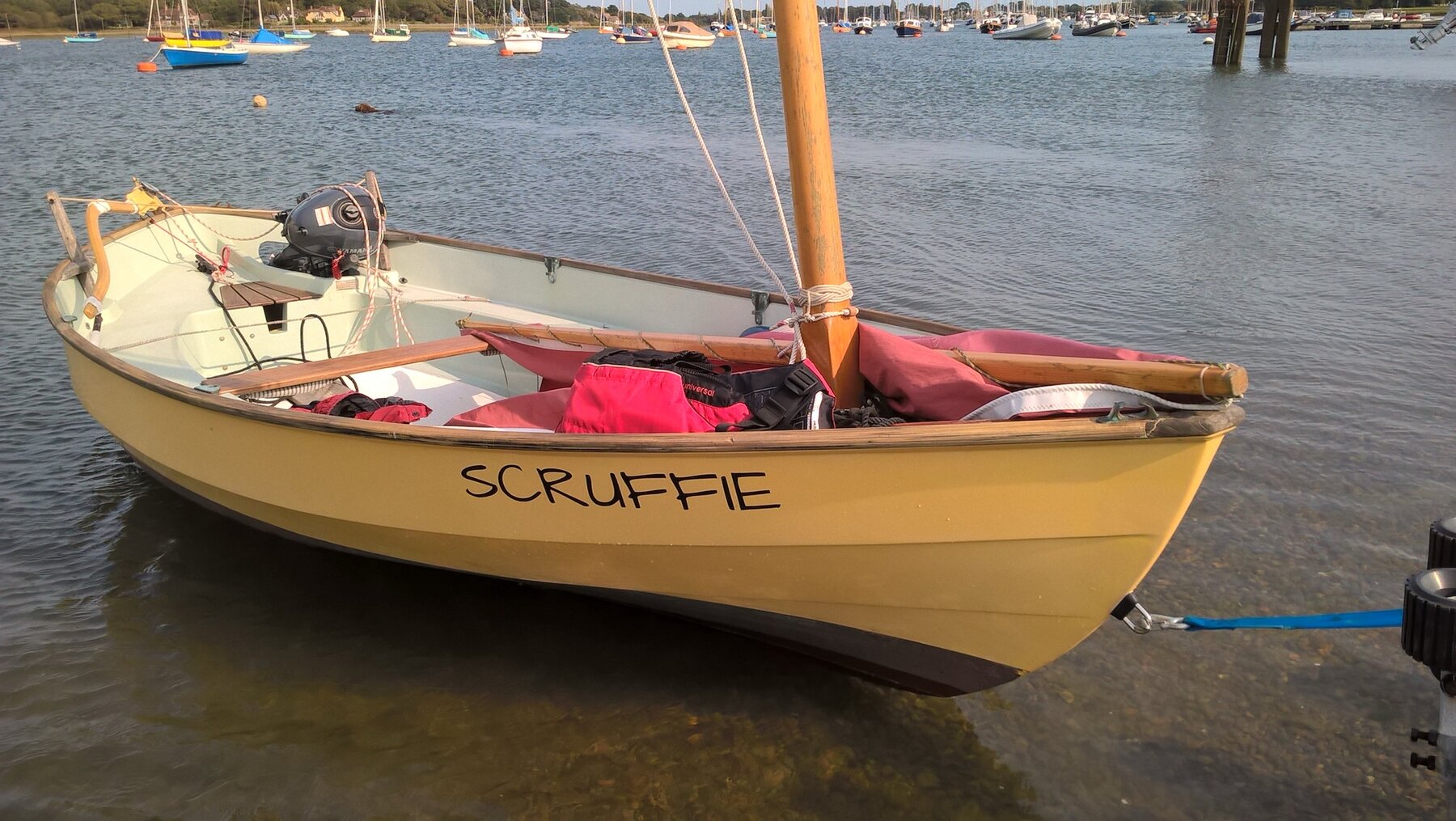 Customer Photo - Scruffie